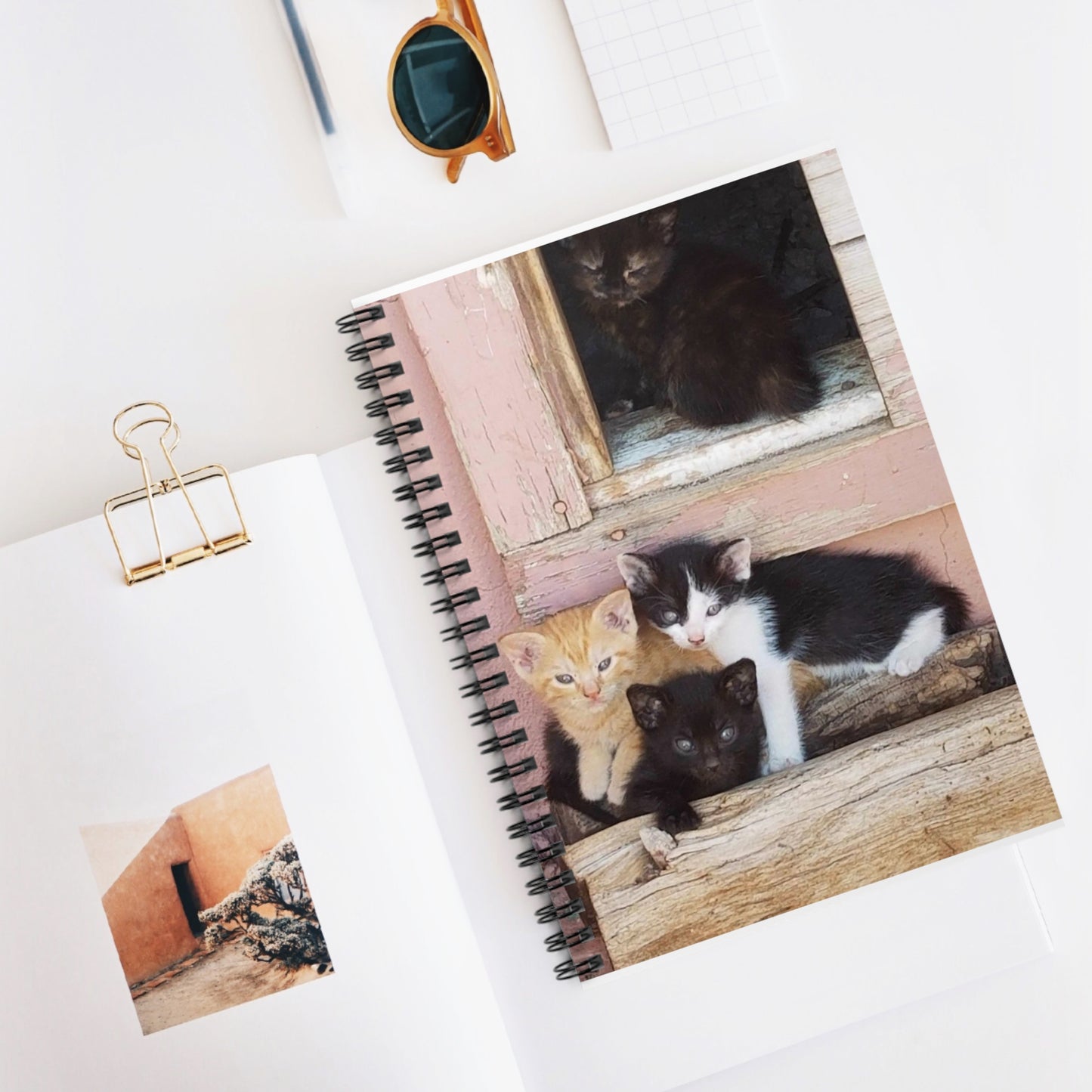 Spiral Notebook - Ruled Line Window Kittens JD