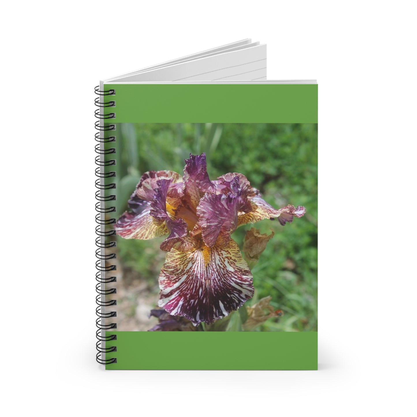 Spiral Notebook - Ruled Line Iris 1