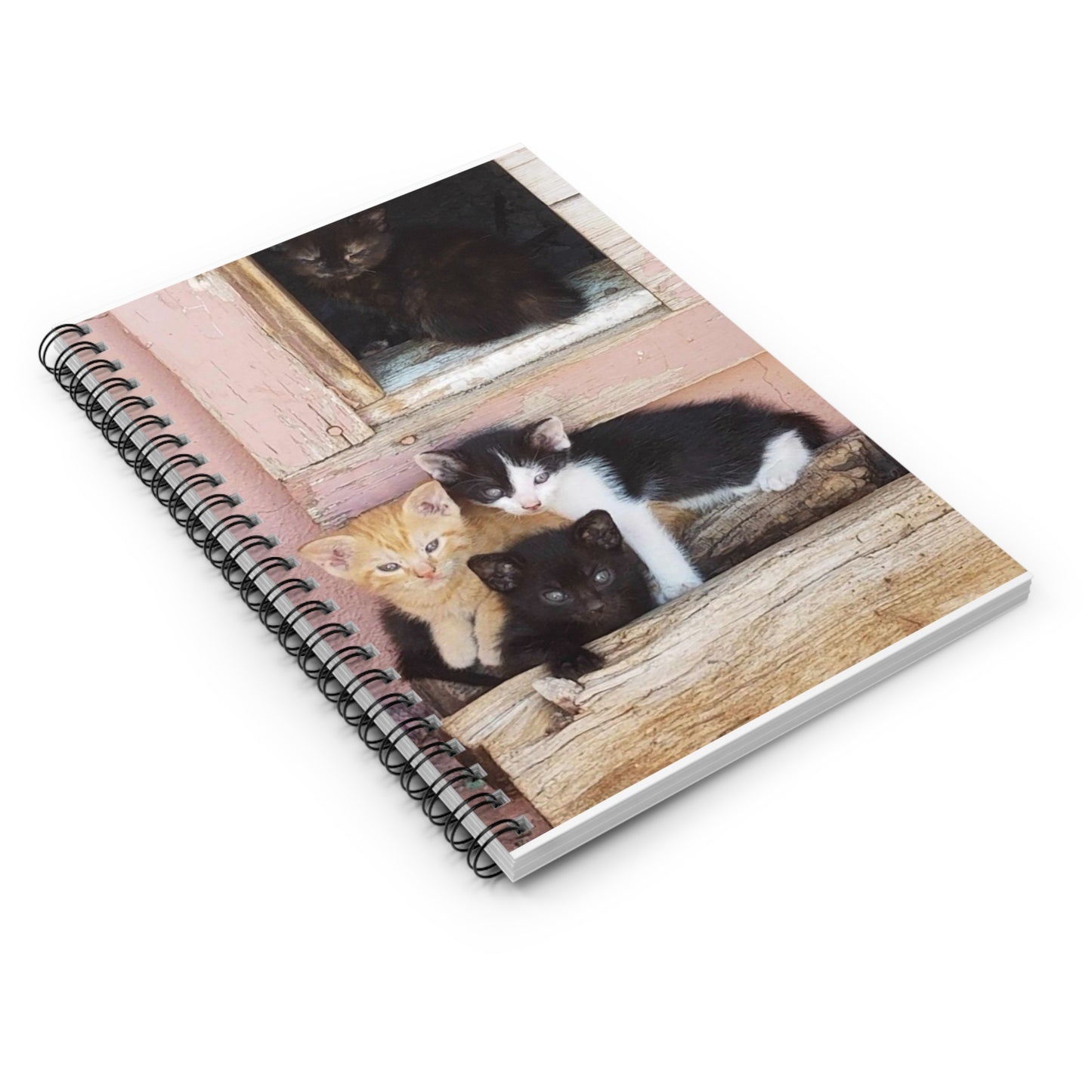 Spiral Notebook - Ruled Line Window Kittens JD