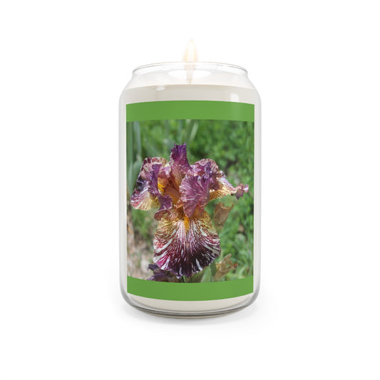 Scented Candle, 13.75oz Garden Iris 1