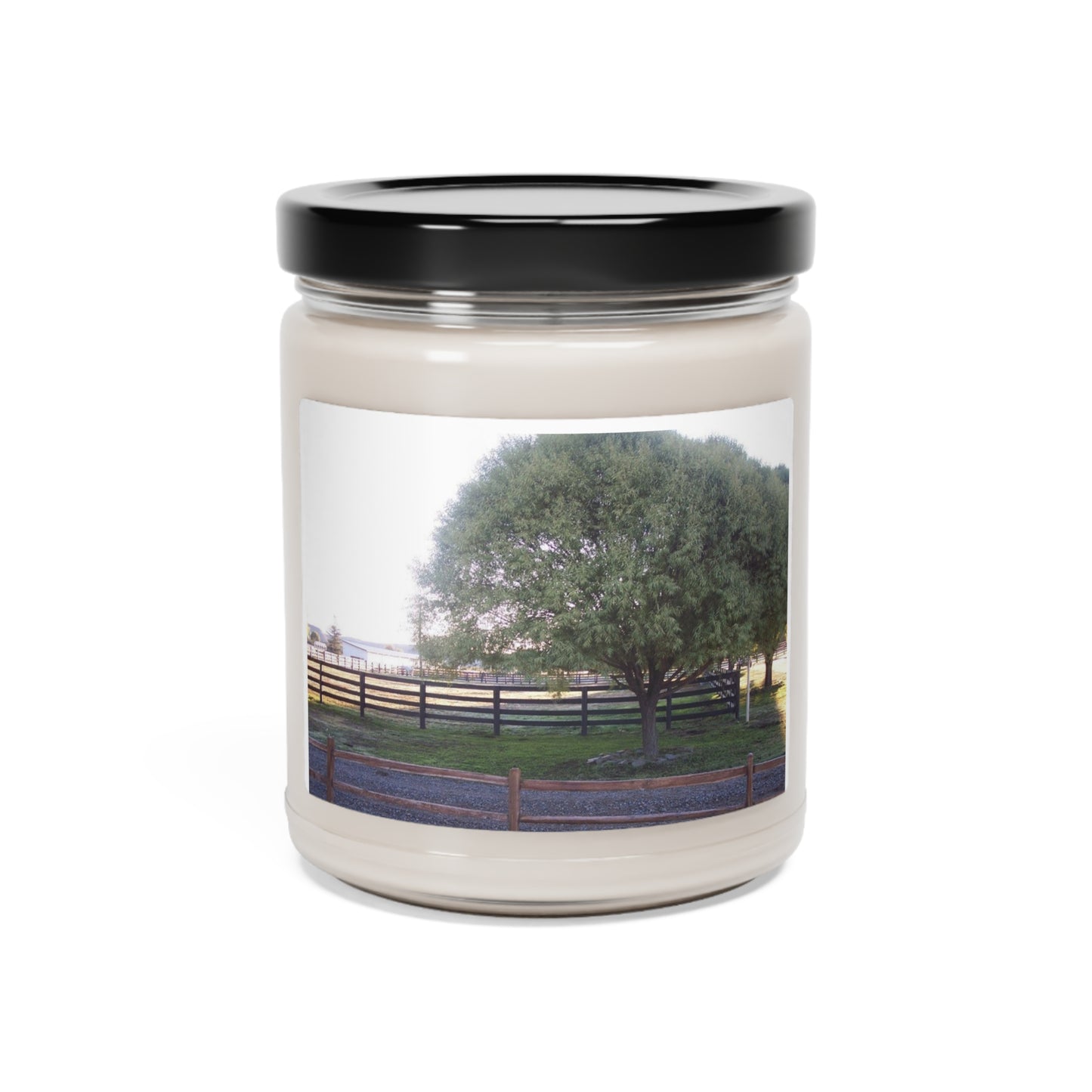 Scented Soy Candle, 9oz Country Road