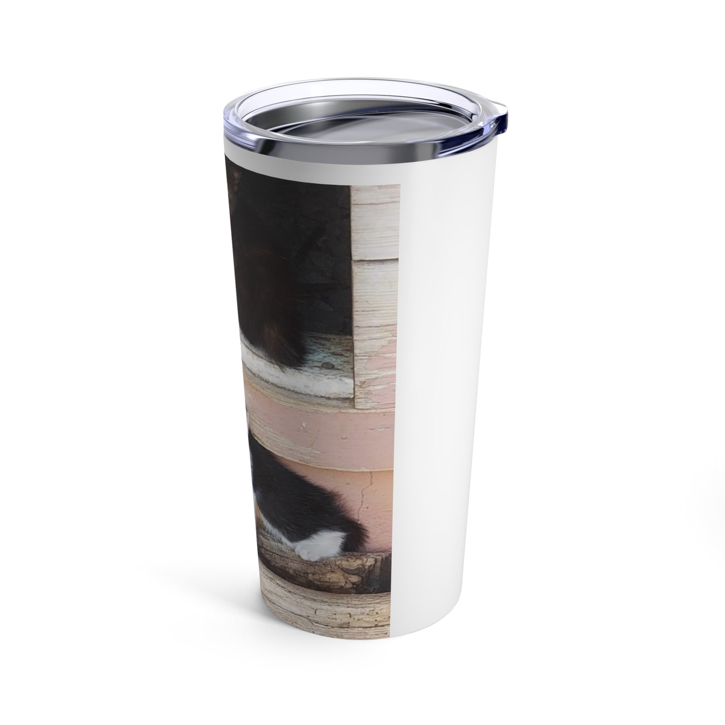 Tumbler 20oz Window Kittens JD