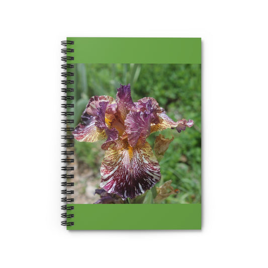 Spiral Notebook - Ruled Line Iris 1