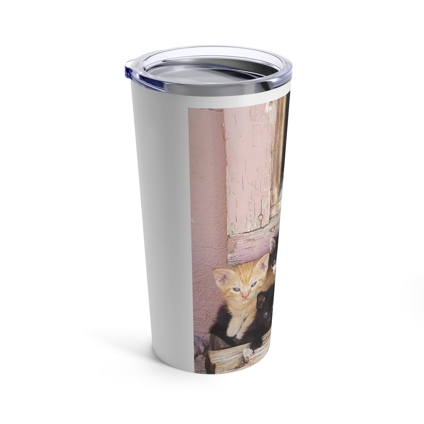 Tumbler 20oz Window Kittens JD