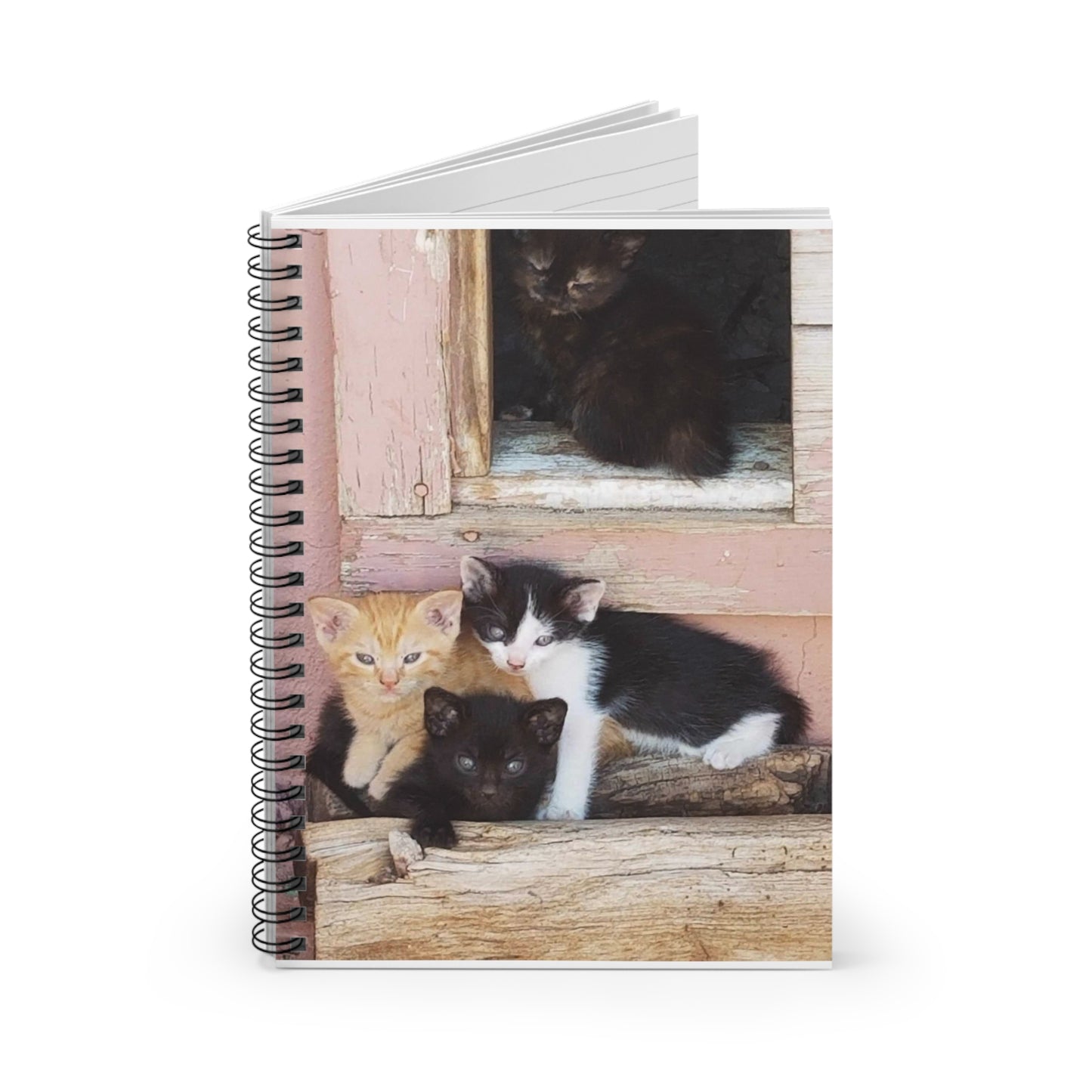 Spiral Notebook - Ruled Line Window Kittens JD