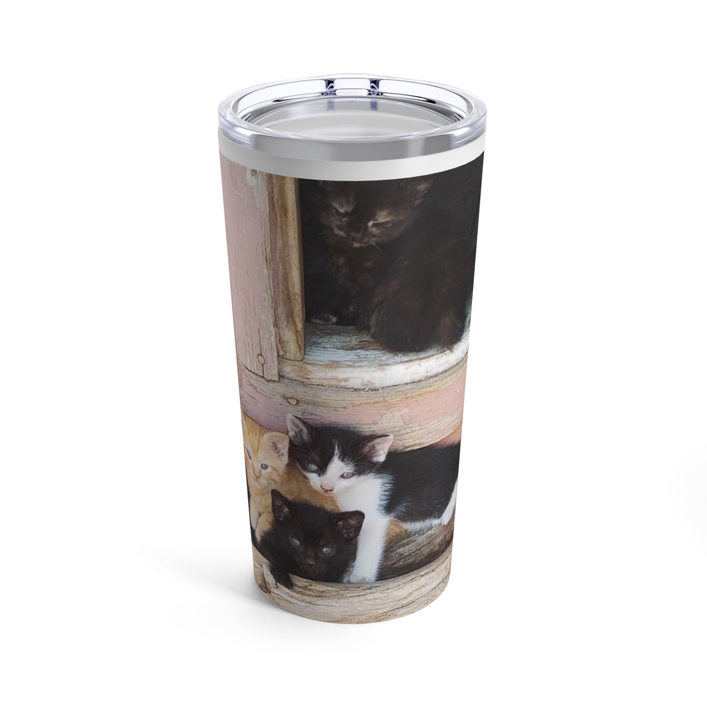 Tumbler 20oz Window Kittens JD