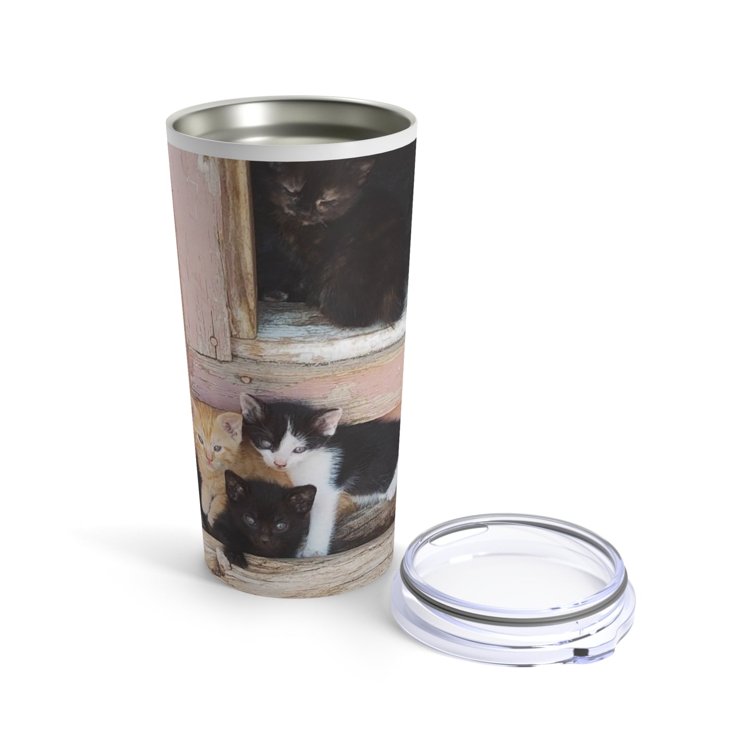 Tumbler 20oz Window Kittens JD