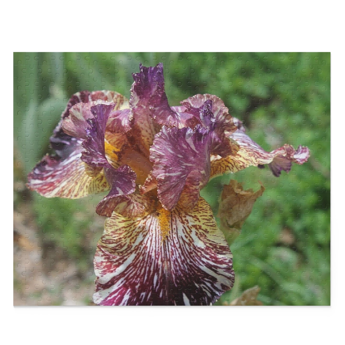 Puzzle (120, 252, 500-Piece) Iris 1