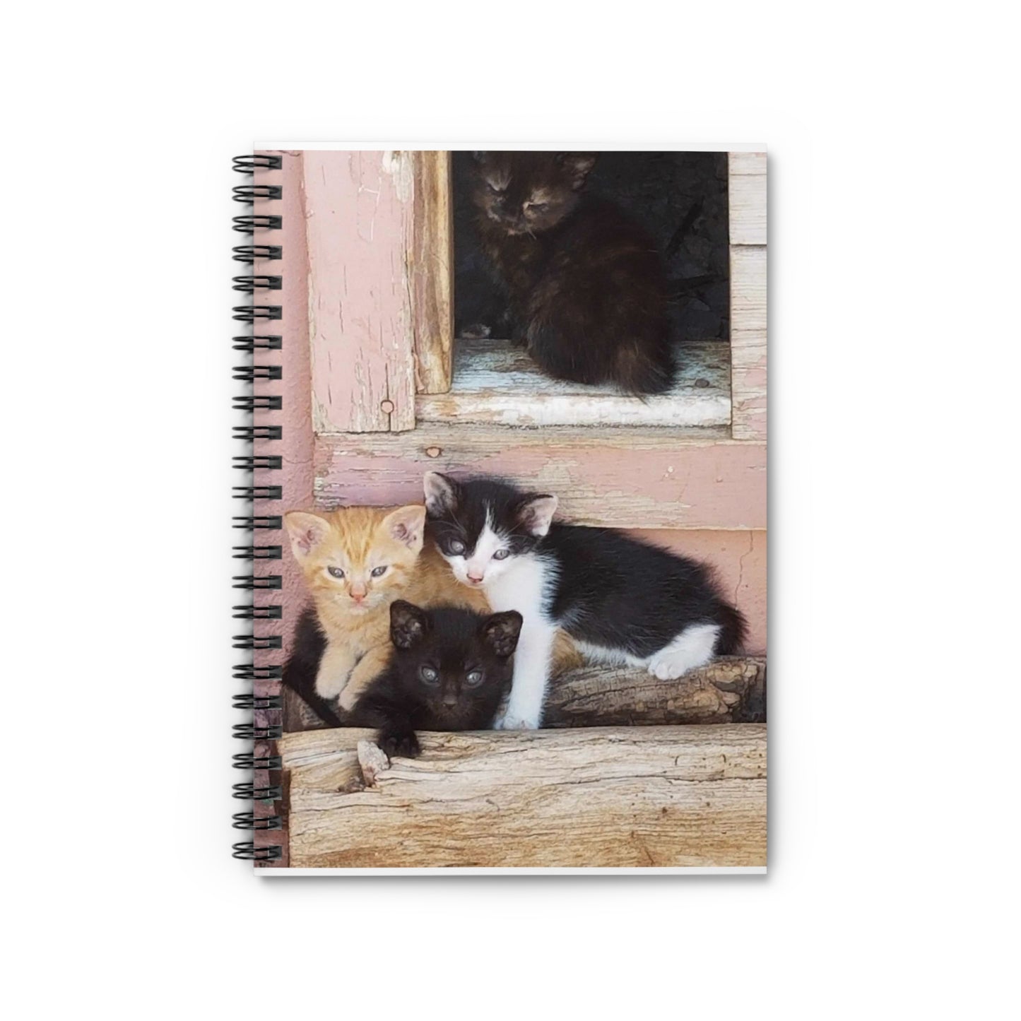 Spiral Notebook - Ruled Line Window Kittens JD